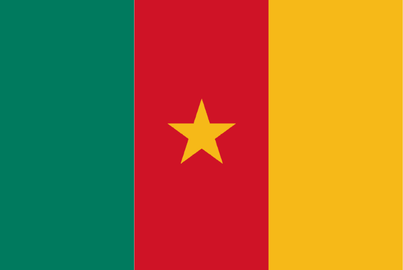 Cameroon flag 