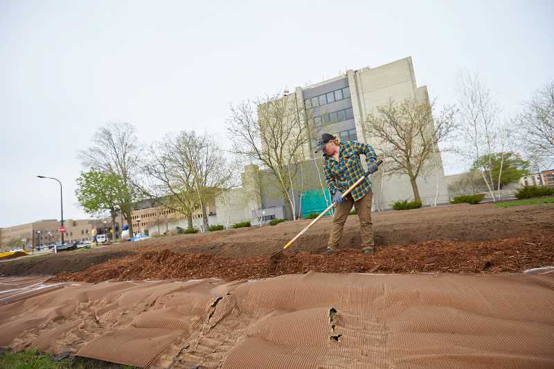 2020 UWL Victory Garden