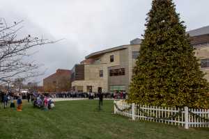 The crowd watches the tree being lit.