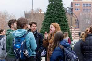 Students chatting in front of the tree.
