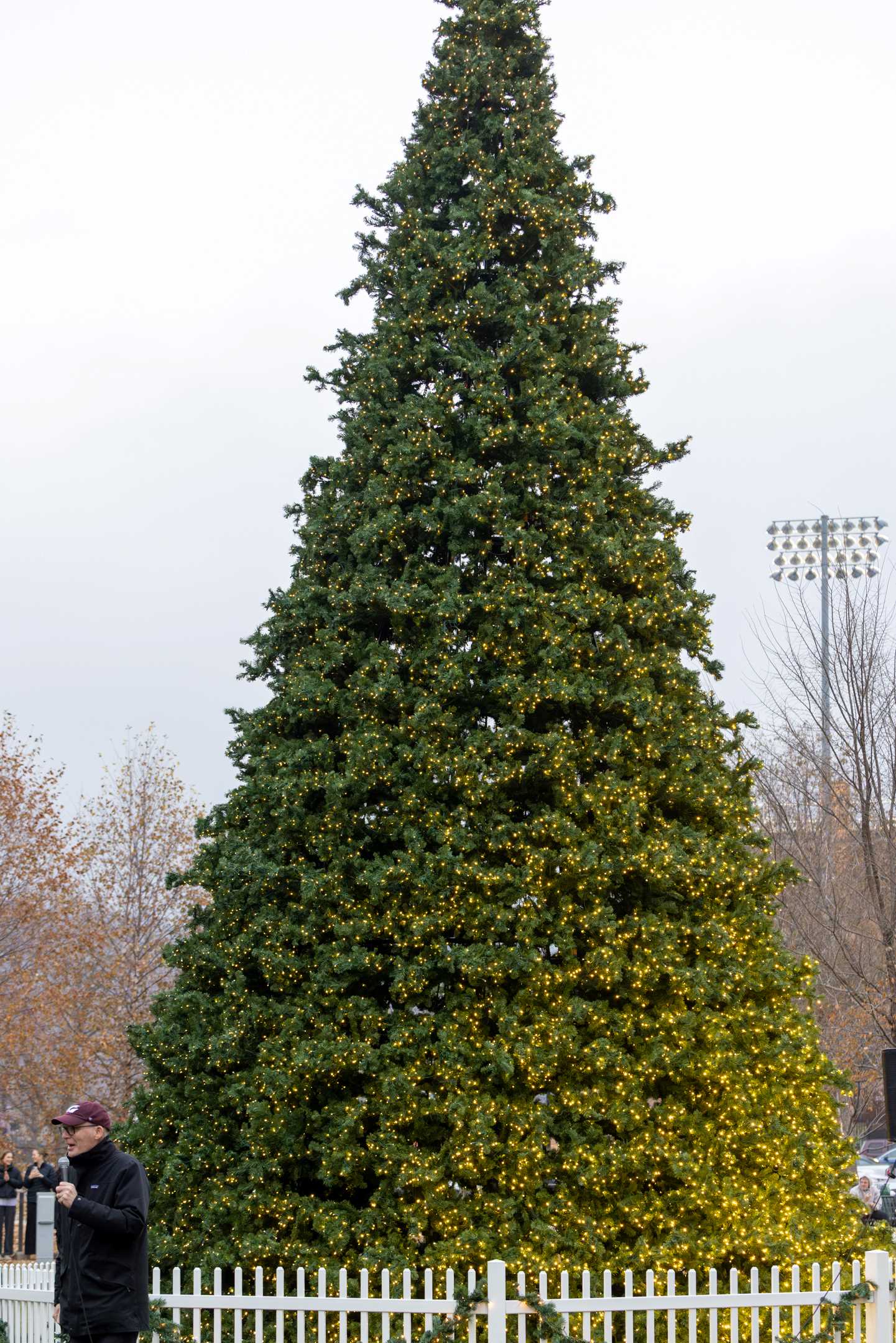 Chancellor James Beeby in front of the Campus Holiday Tree.