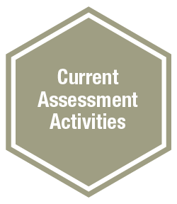 current assessment activities graphic