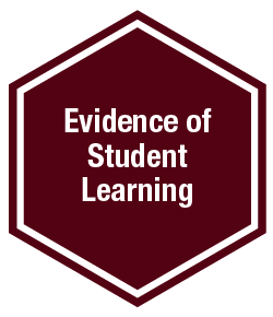 Evidence of Student learning graphic