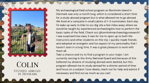 Quote from Colin in Denmark