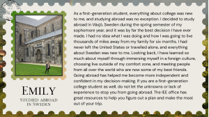 Quote from Emily in Sweden