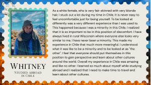 Quote from Whitney in Chile