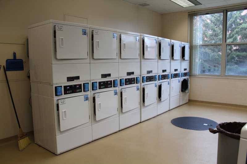 laundry_Reuter 2.JPG